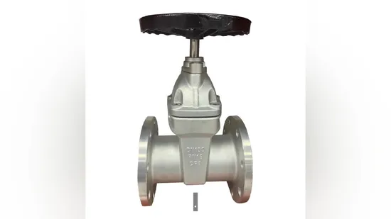 Durable Soft-Seal Gate Valve in Stainless Steel for Plumbing